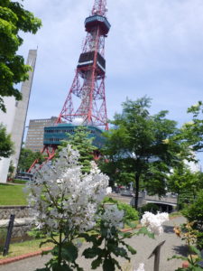 6月13日のアグネススミスの様子