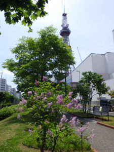 6月13日のメヌエットの様子