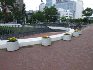 スノーリングの横に置かれたマリーゴールドを植え込んだコンテナ