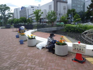 6月24日の花くらぶの活動でマリーゴールドを植え込むボランティア