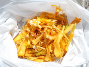 ヘメロカリスのステラデオロの花がら