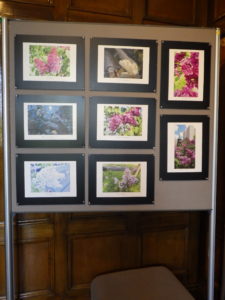 札幌市資料館で開催しているライラック投稿写真展様子1