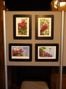 札幌市資料館で開催しているライラック投稿写真展様子2