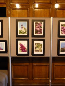 札幌市資料館で開催しているライラック投稿写真展様子3