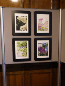 札幌市資料館で開催しているライラック投稿写真展様子6