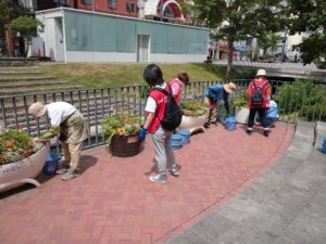 7月8日の公園ボランティア花くらぶの活動でコンテナの手入れをする