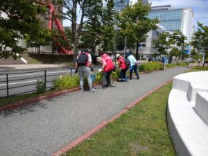 7月8日の公園ボランティア花くらぶの活動でヘメロカリスの花がら摘みをする