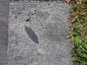 団塚作品のささぶね