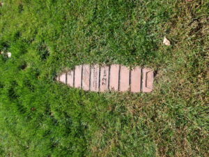 団塚作品のサッポロシティ－クルーズ