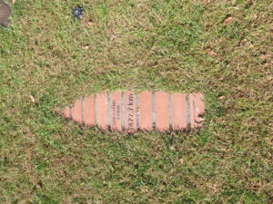 団塚作品のサッポロシティ－クルーズ