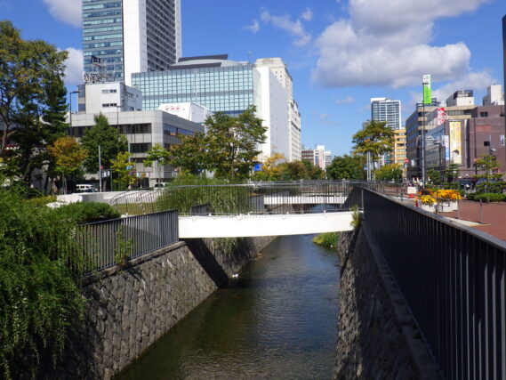 「秋の公園散歩」の画像