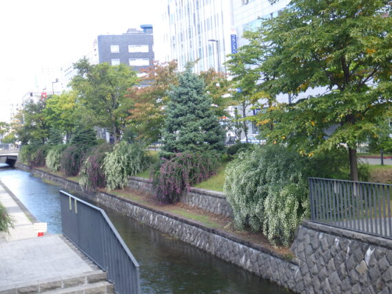 「公園のハギの様子」の画像