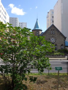 公園から札幌教会を望む