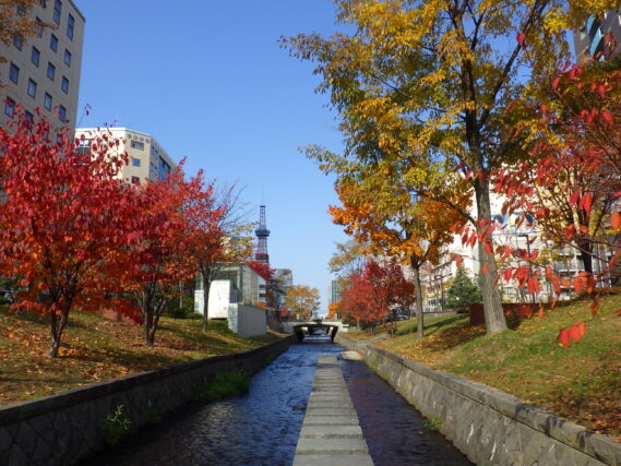 「紅葉の様子」の画像