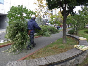 刈り取ったハギを運ぶ作業員