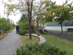 北2条でハギの刈り取りをする作業員の様子