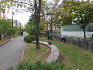 ハギの刈り取りをする作業員の様子