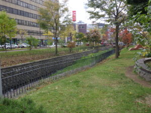 ハギが刈り取られた後の北2条の様子