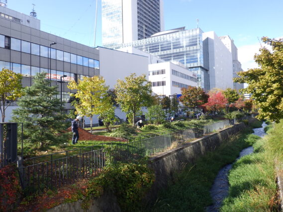 「ハギの刈り取り作業開始」の画像