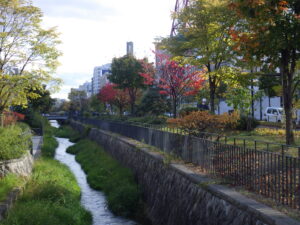 ハギが刈り取られているの北１条の様子