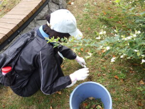 10月6日に除草をするお助け隊2