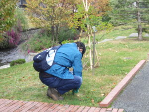 10月6日に除草をするお助け隊4