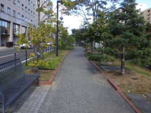 落ち葉清掃で綺麗になった南4条の園路