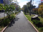 落ち葉清掃で綺麗になった南4条の園路