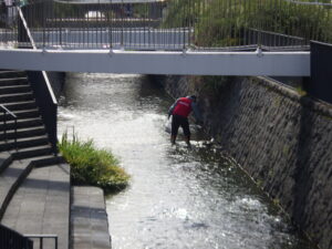 10月16日に川のごみ拾いの活動をする企業ボランティアさん