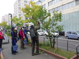 10月5日の植物ボランティアの活動の様子3