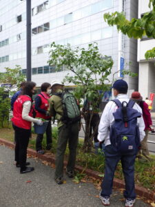 10月5日の植物ボランティアの活動の様子4
