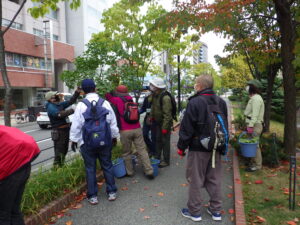 10月5日の植物ボランティアの活動の様子5