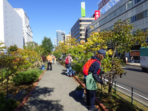 「今週の公園ボランティア」の画像