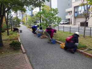 10月19日にヘメロカリスの刈り取りをする植物ボランティア