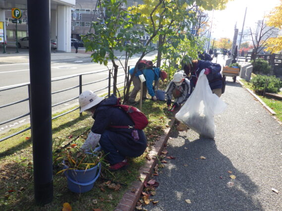 「10月後半の公園ボランティアと花壇の冬支度」の画像