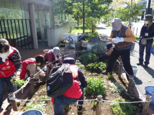 10月14日の活動で花壇の宿根草刈込みを行う花くらぶのメンバー