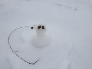 11月28日に大通ブロックにできていた雪だるま