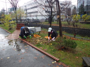 11月10日にスズランの刈り取りをするお助け隊のメンバー