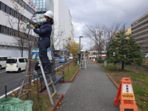 11月17日に北1条で樹木の冬囲いをする作業員さんたち3