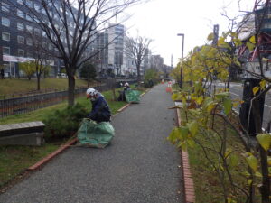 11月17日に北1条で樹木の冬囲いをする作業員さんたち4