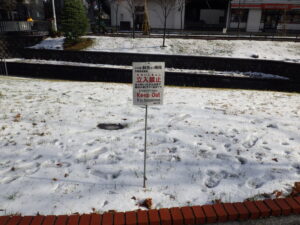 11月28日に設置した芝生斜面の冬期立ち入り禁止看板