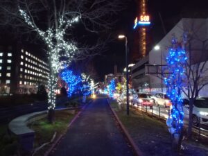 11月29日の創成川公園北1条西側で樹木にイルミネーションされた様子1