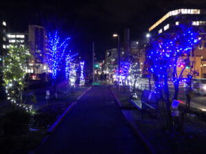 11月29日の創成川公園北1条西側で樹木にイルミネーションされた様子