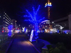 11月29日の創成川公園北1条東側で樹木にイルミネーションされた様子4