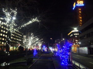 11月29日の創成川公園北1条西側で樹木にイルミネーションされた様子3