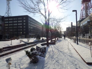 12月13日の雪の降り積もった北1条の様子