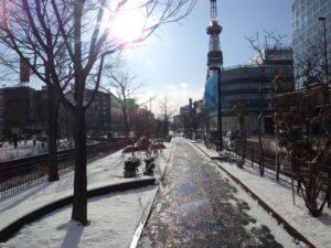 12月13日の雪の降り積もった北2条の様子