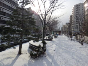 12月13日の雪の降り積もった南1条西側の様子