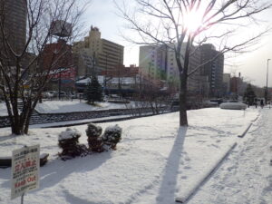 12月13日の雪の降り積もった南2条の様子