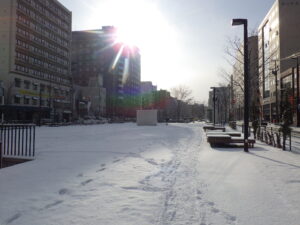 12月13日の雪の降り積もった狸二条広場の様子